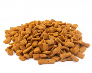 Pumpkin Cinnamon Bites - 30g