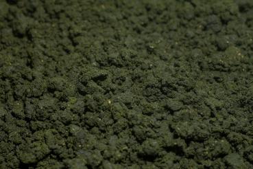 Schneckenfeed Power-Paste (30g)
