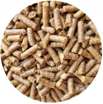 Oregano-Sticks (50g)