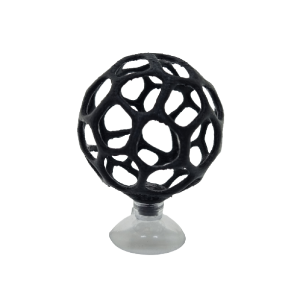 Garnelen Fußball, Moosball, Tangball, Moos, Ball, Aquascaping, Dekoration