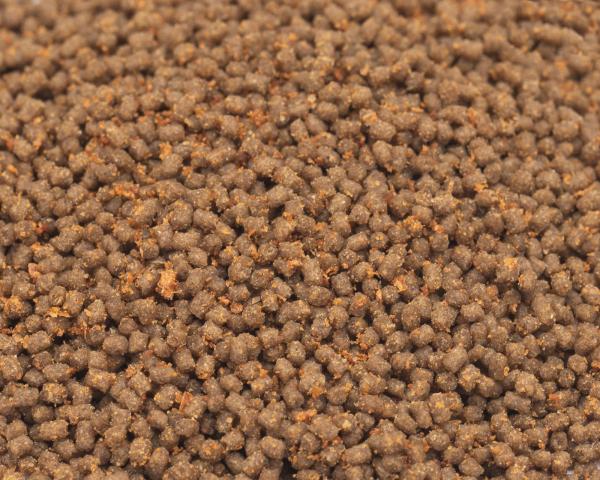 Bettafeed - Bettafutter - 50ml