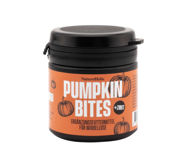 Pumpkin Cinnamon Bites - 30g