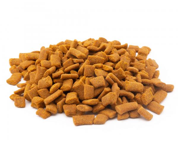 Pumpkin Cinnamon Bites - 30g