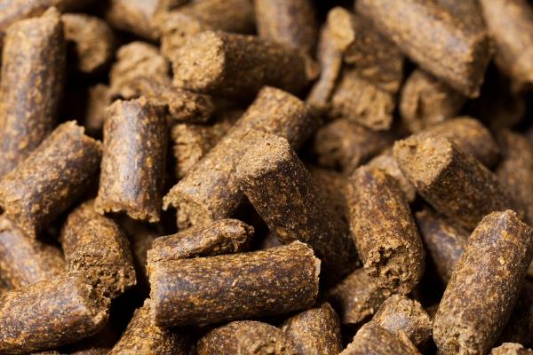 Krebsfeed Krebsfutter (30g)